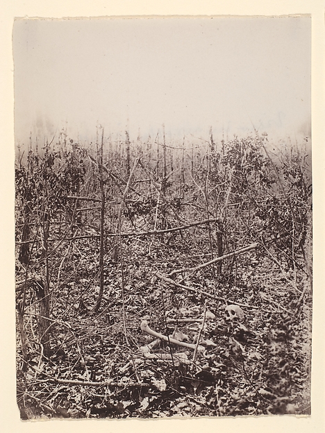 [The Wilderness Battlefield]