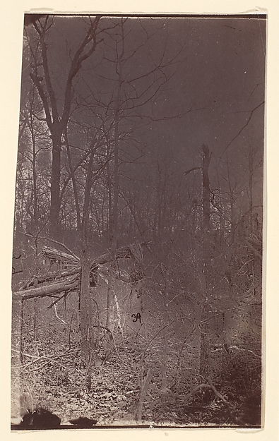 [The Wilderness Battlefield]