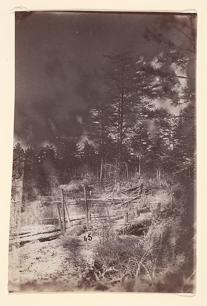 [The Wilderness Battlefield]