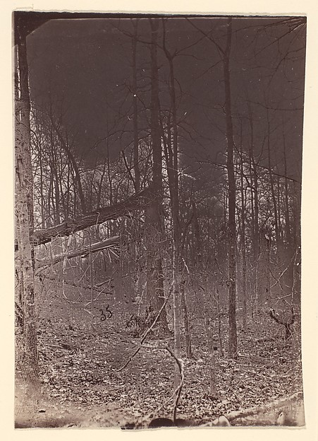 [The Wilderness Battlefield]
