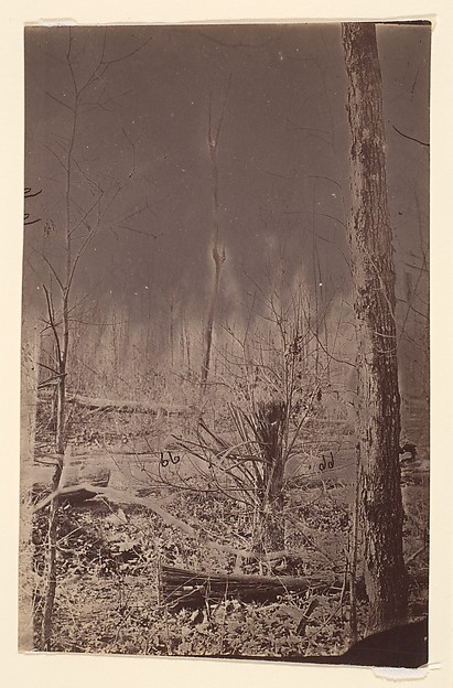 [The Wilderness Battlefield]