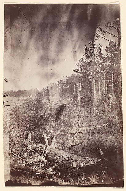 [The Wilderness Battlefield]
