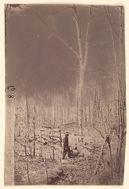 [The Wilderness Battlefield]