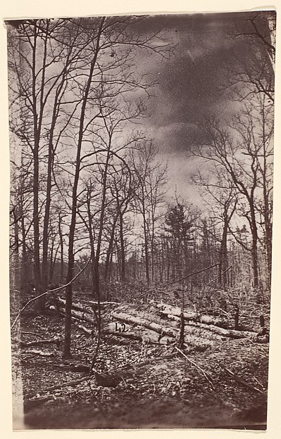 [The Wilderness Battlefield]