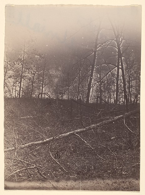 [The Wilderness Battlefield]