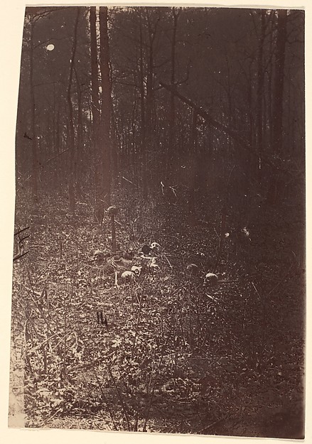 [The Wilderness Battlefield, near Spotsylvania, Virginia]