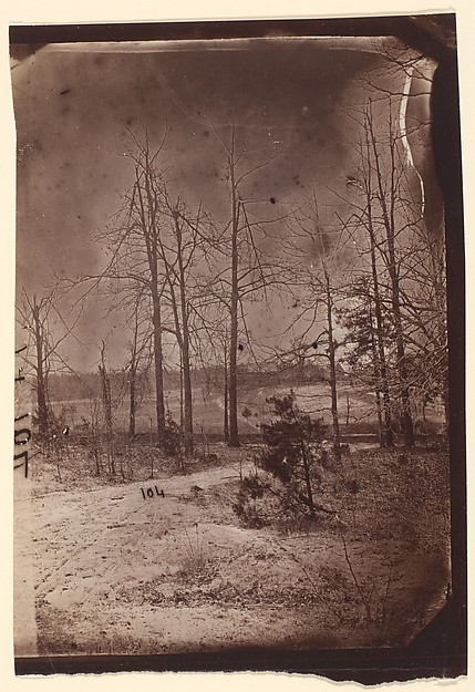 [The Wilderness Battlefield]