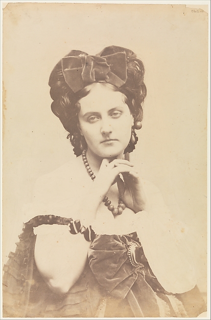 [La Comtesse décolletée; Roses mousseuses]
