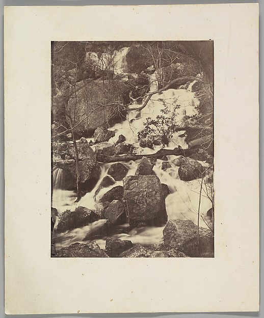 [Trees and Waterfalls]