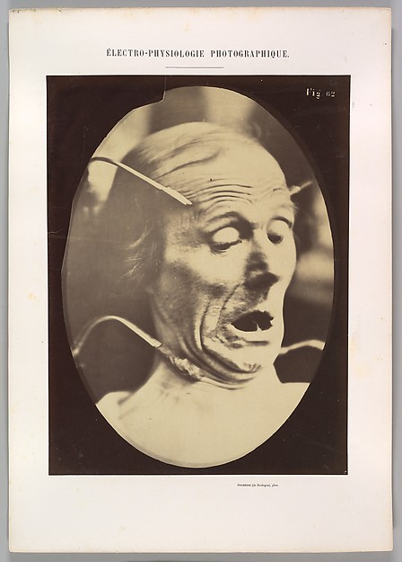 Figure 62: Terror, semiprofile