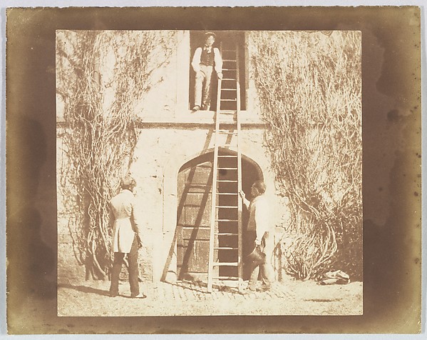 The Ladder
