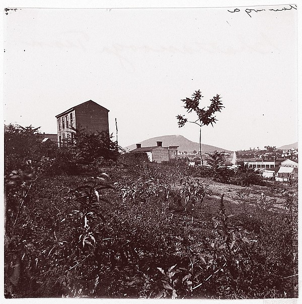 [View of Houses on Hillside, Chattanooga, Tennessee]