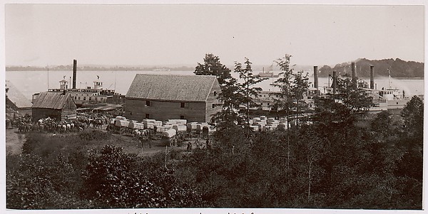 Wilcox Landing