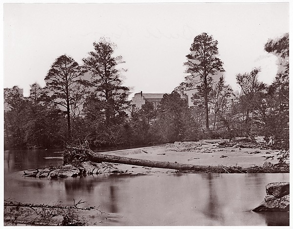 [Fallen Tree, Bull Run, Virginia]