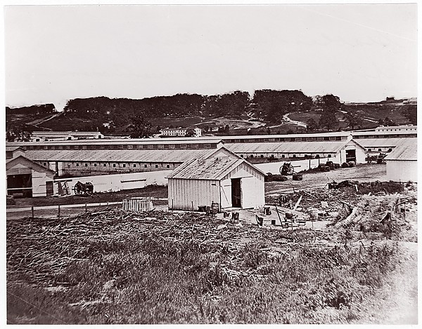 Camp Barry near Bladensberg, Maryland. Stables
