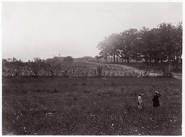 [Battlefield of Gettysburg, Pennsylvania (Scene of General Reynold's Death, The Eastern Edge of McPherson's Woods, view looking toward Seminary Ridge)]
