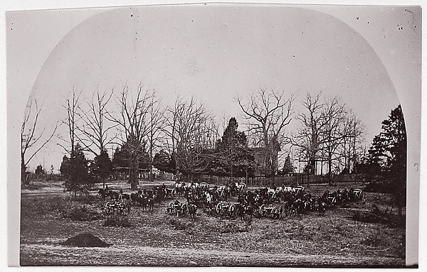 [Cache of Cannon].  Brady album, p. 123