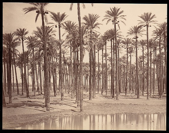 Temple de Cathers a Saqqarah