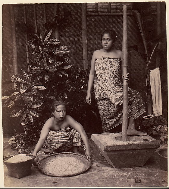 Javanese Women Preparing Rice