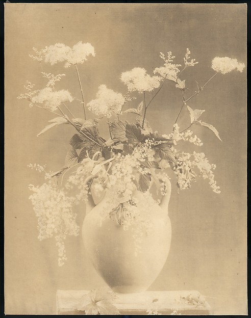[Vase of Flowers]