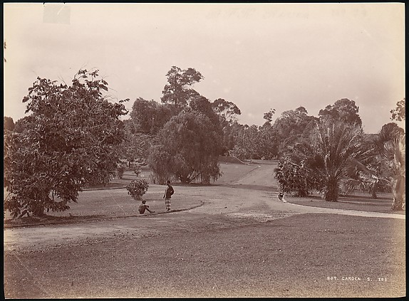 Botanical Garden