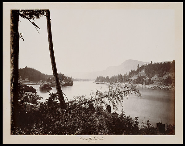 View on the Columbia, Cascades