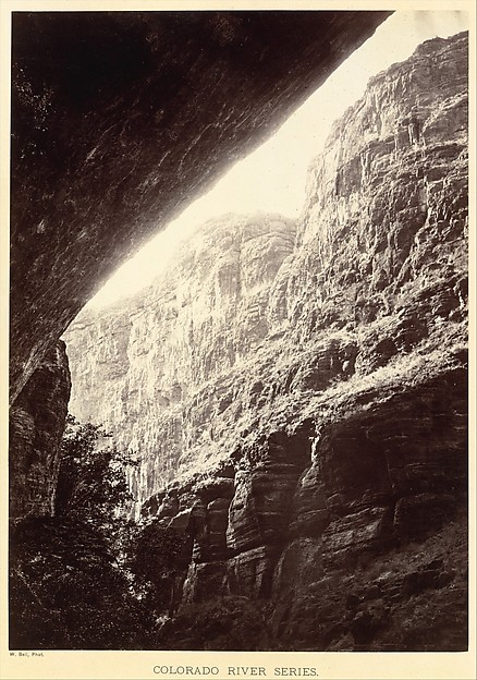 Cañon of Kanab Wash, Looking South