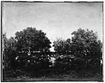 The Pool (Memory of the Forest of Chambord), Théodore Rousseau (French, Paris 1812–1867 Barbizon), Oil on wood