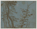 Trees, French artist in the circle of Giovanni Francesco Grimaldi (Italian, Bologna 1606–1680 Rome), Pen, sepia ink and wash with white gouache heightening on blue paper