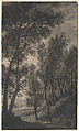 Wooded Landscape, Anthonie Waterloo (Dutch, Lille 1609–1690 Utrecht), Black chalk and brush and black ink, gray and grayish black wash, heightened with white.
Verso: (by the artist?) in pen and brown ink over black chalk.