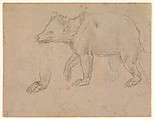 A Bear Walking, Leonardo da Vinci (Italian, Vinci 1452–1519 Amboise), silverpoint on light buff prepared paper
