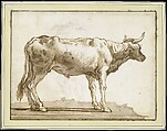A Bullock Standing to the Right (on a Base), Giovanni Domenico Tiepolo Italian, Pen and brown ink, brown wash, over black chalk