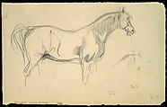 Studies of a Horse in Profile, Eugène Delacroix (French, Charenton-Saint-Maurice 1798–1863 Paris), Graphite on gray-beige wove paper (probably a sheet from a sketchbook)