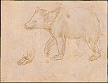 A Bear Walking, Leonardo da Vinci (Italian, Vinci 1452–1519 Amboise), silverpoint on light buff prepared paper