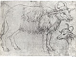 Study of Two Bovine Animals, The Veneto (mid-15th century), Pen and brown ink, Italian (Veneto)
