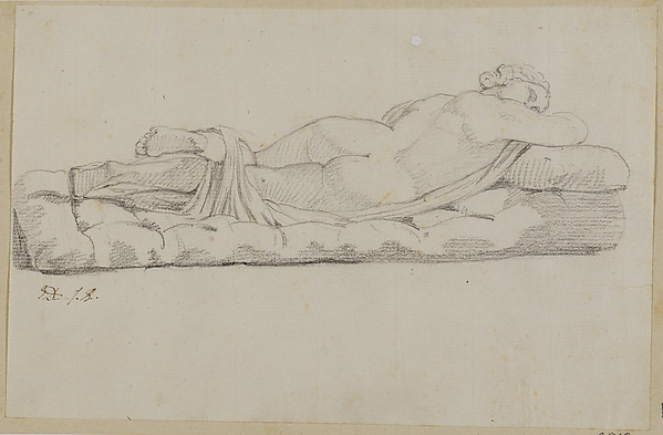 Hermaphrodite