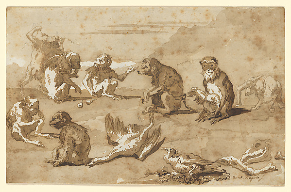 Eight Monkeys, a Dead Goose, and a Cormorant