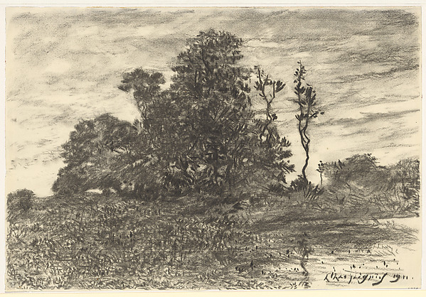 The Pond at Les Luneaux, Allier